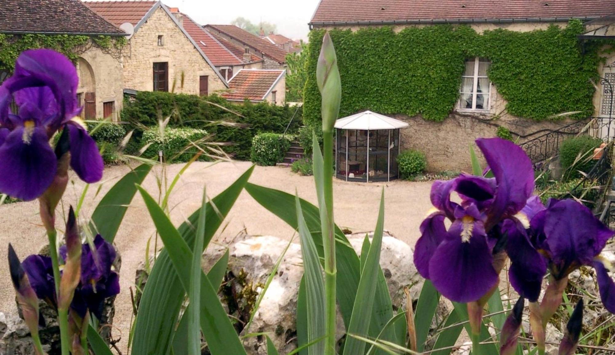 Le Chateau De Prauthoy Εξωτερικό φωτογραφία