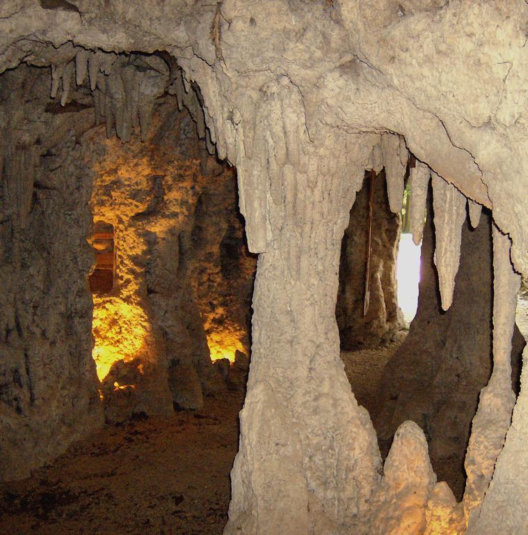 Le Chateau De Prauthoy Εξωτερικό φωτογραφία