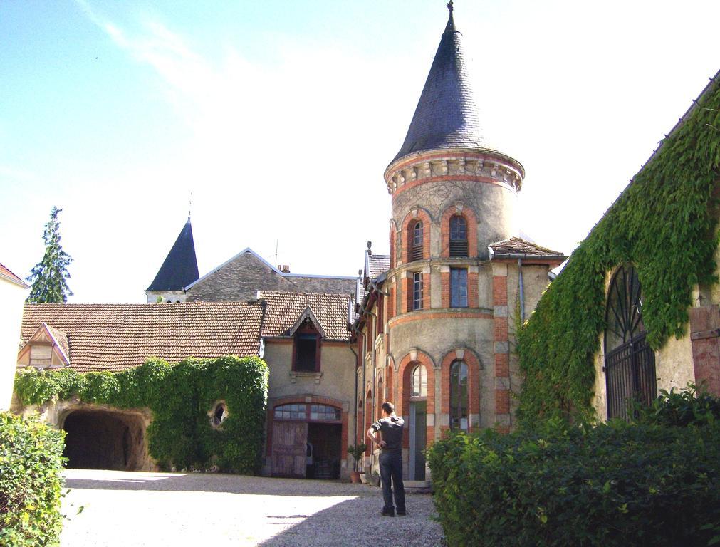 Le Chateau De Prauthoy Εξωτερικό φωτογραφία