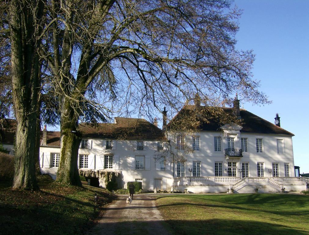 Le Chateau De Prauthoy Εξωτερικό φωτογραφία